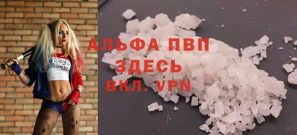 стафф Гусев