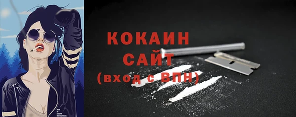 стафф Гусев
