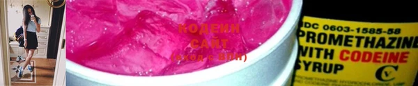 стафф Гусев