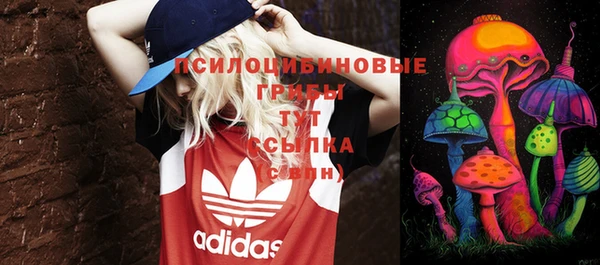 стафф Гусев