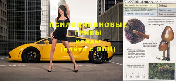 стафф Гусев
