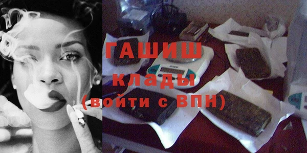стафф Гусев