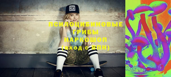стафф Гусев